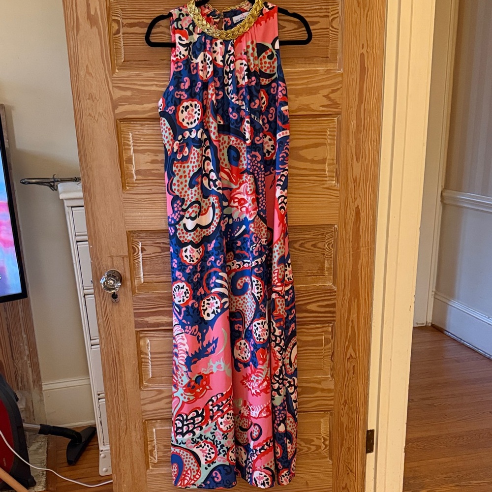 CK Bradley Long Maxi Dragon Dress size Large